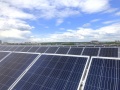 PH Insulation Commissions the Biggest Solar Power Plant in Shchelkovo